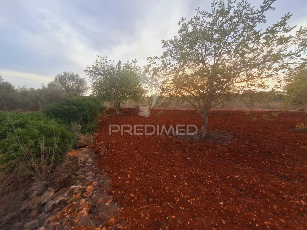 Aed - Rustic Plot near National Road in Vale Judeu