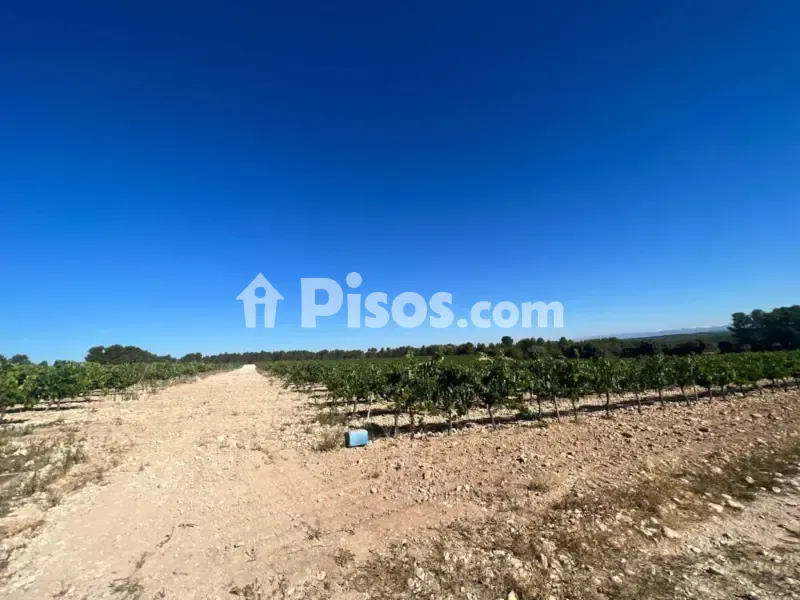 Jardin - Historic Finca with Vineyards in Requena