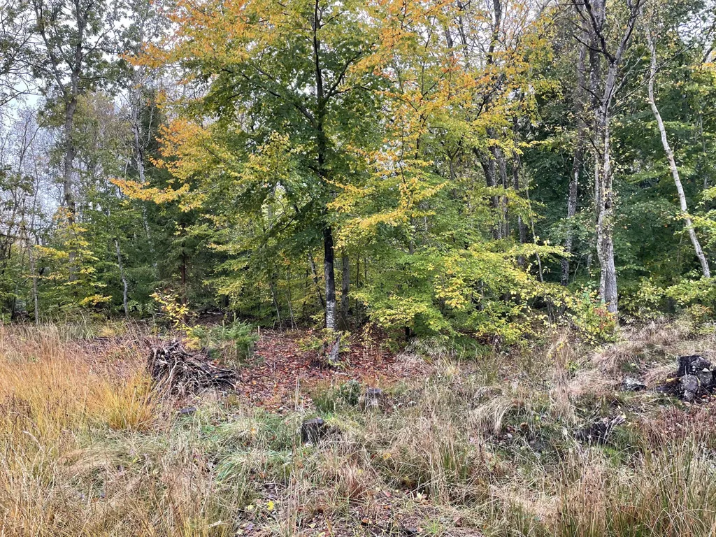 Aed - Vacation Plot with 4G Coverage in Hadsund