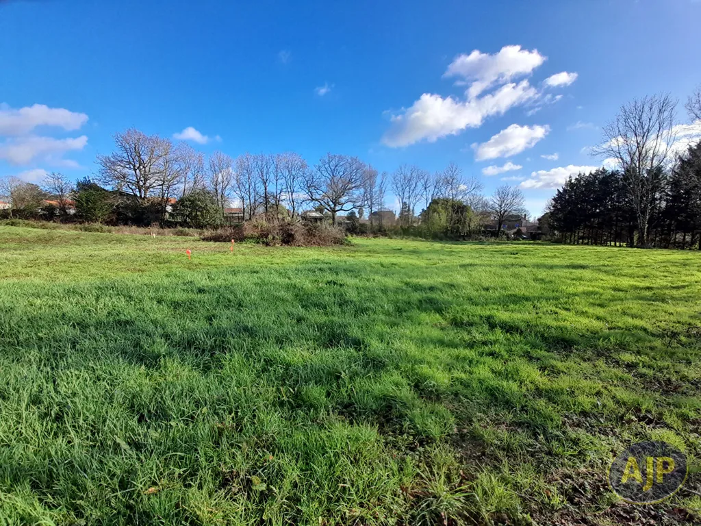 Jardin - Terrain Constructible au Calme à Champ Saint-Père