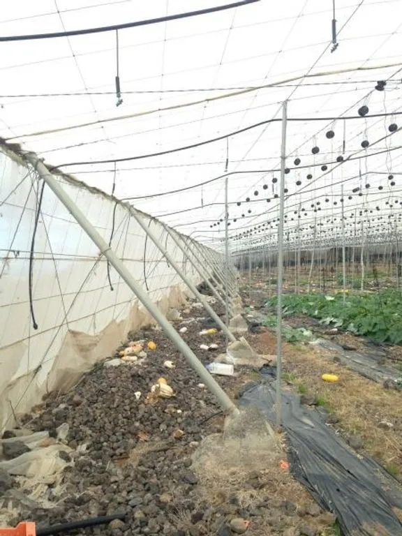 Garden - Land with Greenhouse in Guía de Isora