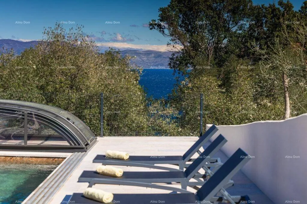 Piscina - New Villa with Pool near Labin