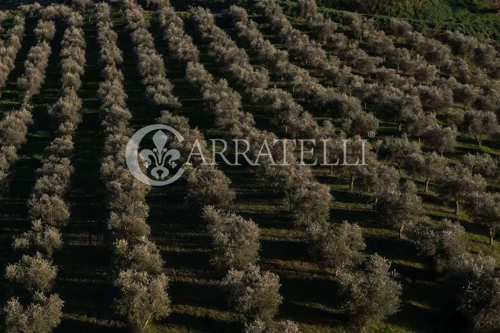 Vue aérienne - Luxury Farmhouse with Infinity Pool in Torrita di Siena