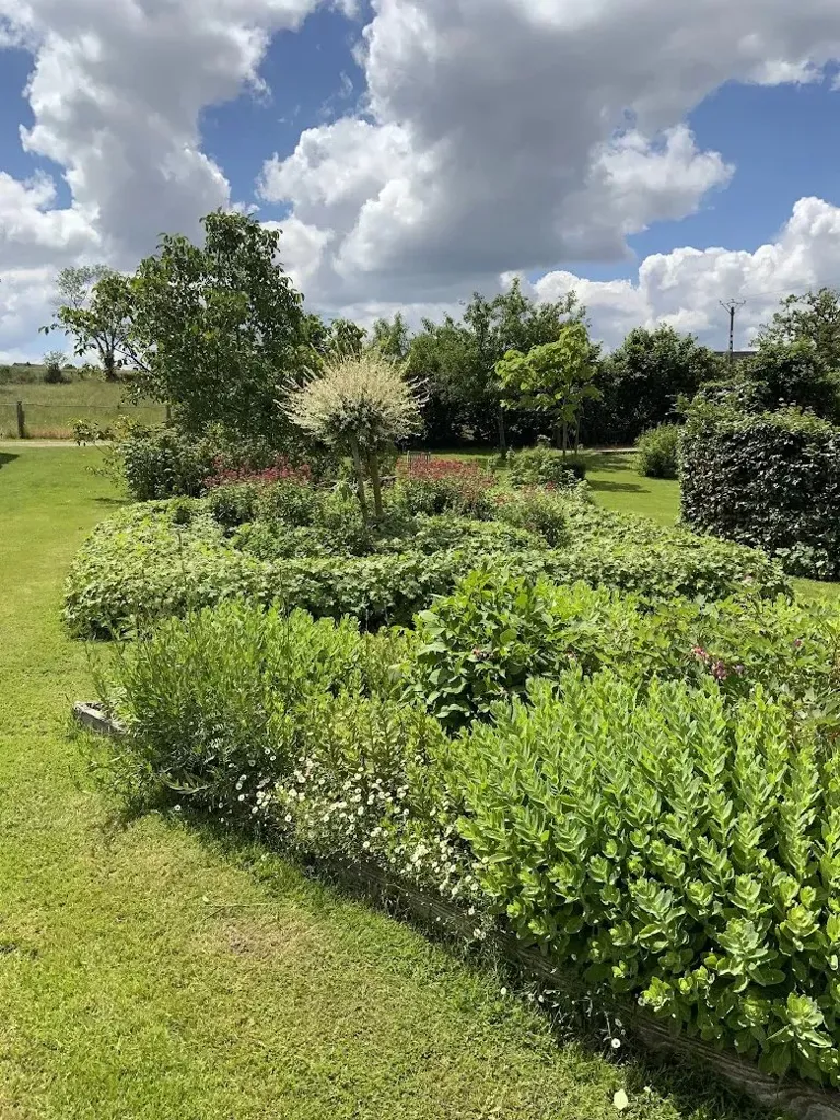 Giardino - Guesthouse & Gite with Pool in Allier