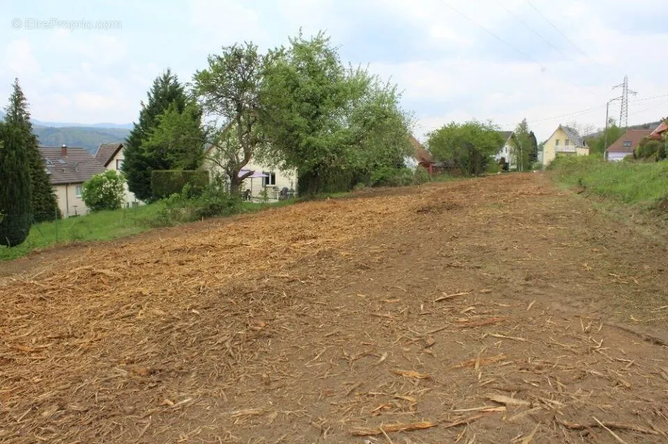 Extérieur - Terrain avec Jardin et Exposition Sud à Russ