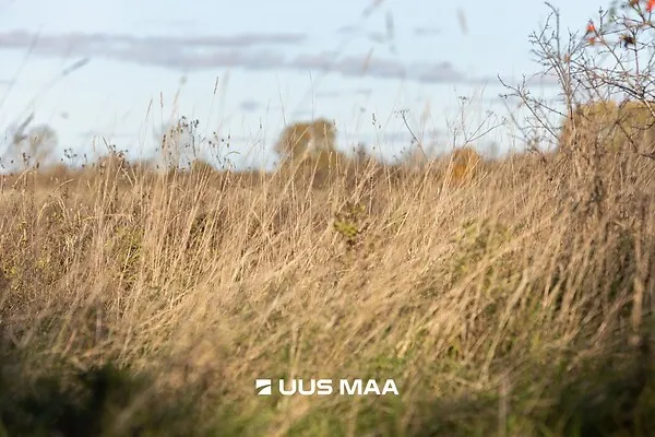 Jardin - Terrain à Lääne-Harju vald