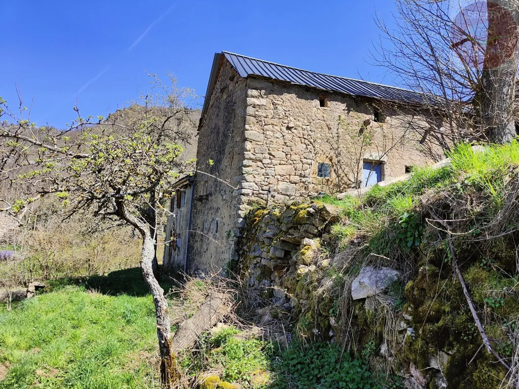 Extérieur - Ferme à Rénover avec Terrain à Ispagnac