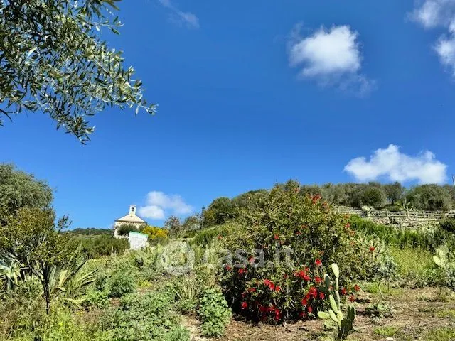Aed - Rustic Farmhouse with Private Garden in Modolo