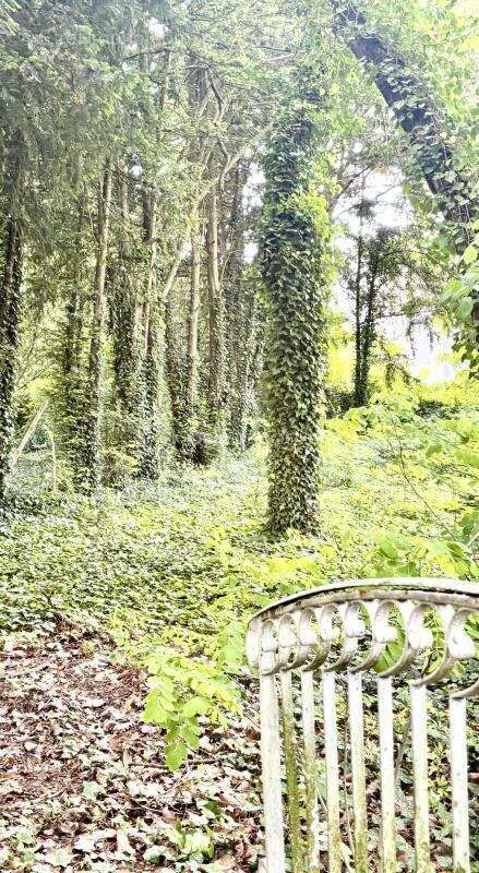 Jardin - Maison 18 pièces à Le Mee-Sur-Seine