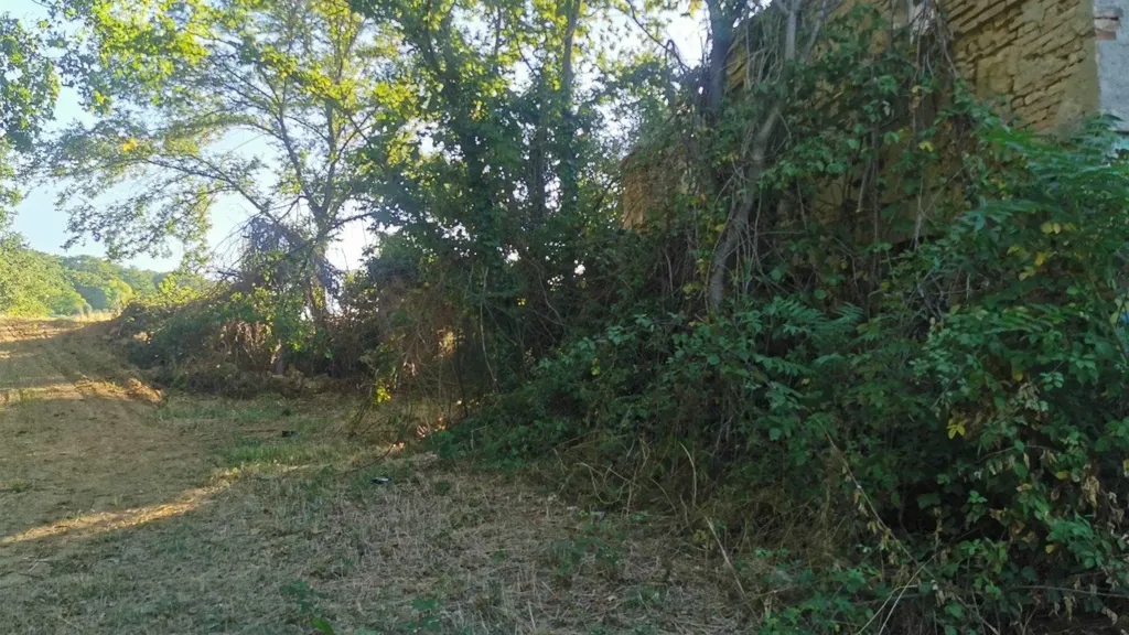 Jardin - Rustic Farmhouse with Sea View in Civitanova Alta