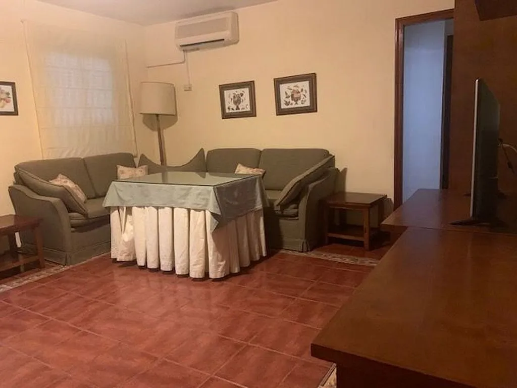 Séjour - Furnished Flat with Terrace in Bami - Tabladilla