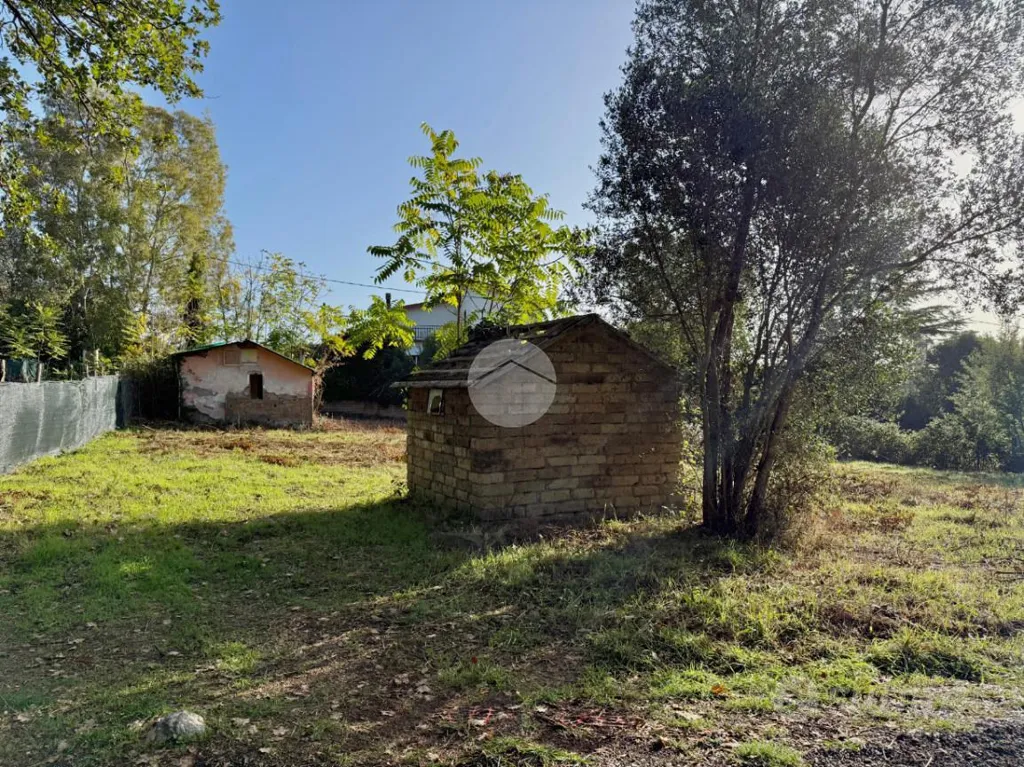 Rustico with Demolition Potential in Nepi