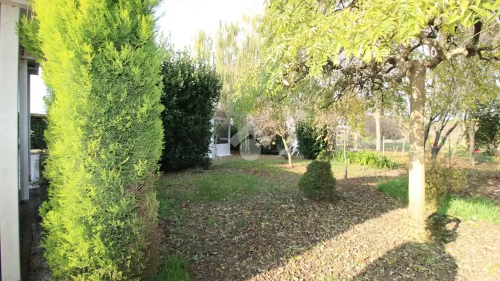 Garden - Rustic Villa with Garden in Cesena