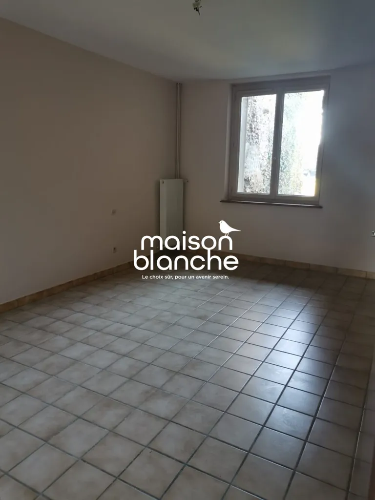 Toad - 4-Bedroom House with Garden in Vasles