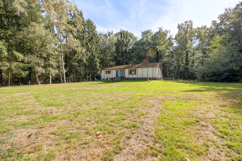 Garden - Building Plot with Renovation Potential in Lummen