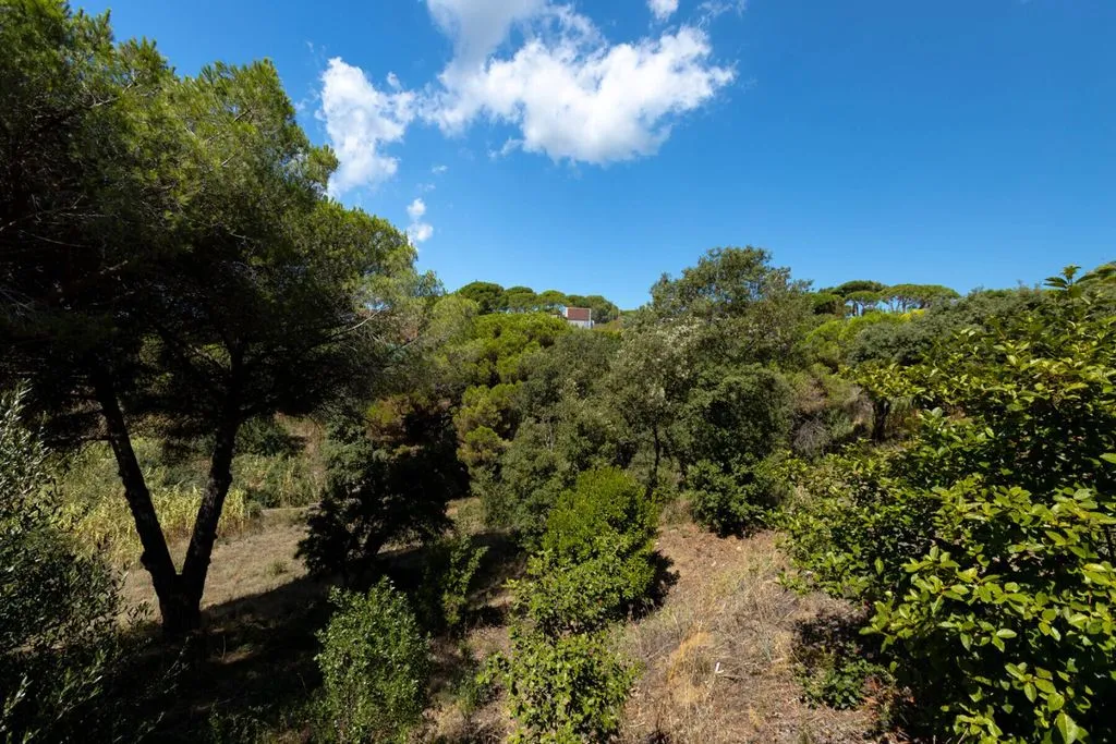 Large Plot in Rocaferrera, Sant Andreu de Llavaneres