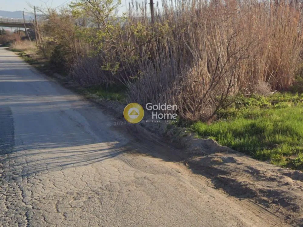 Garden - Agricultural Land with Unrestricted View in Thermi