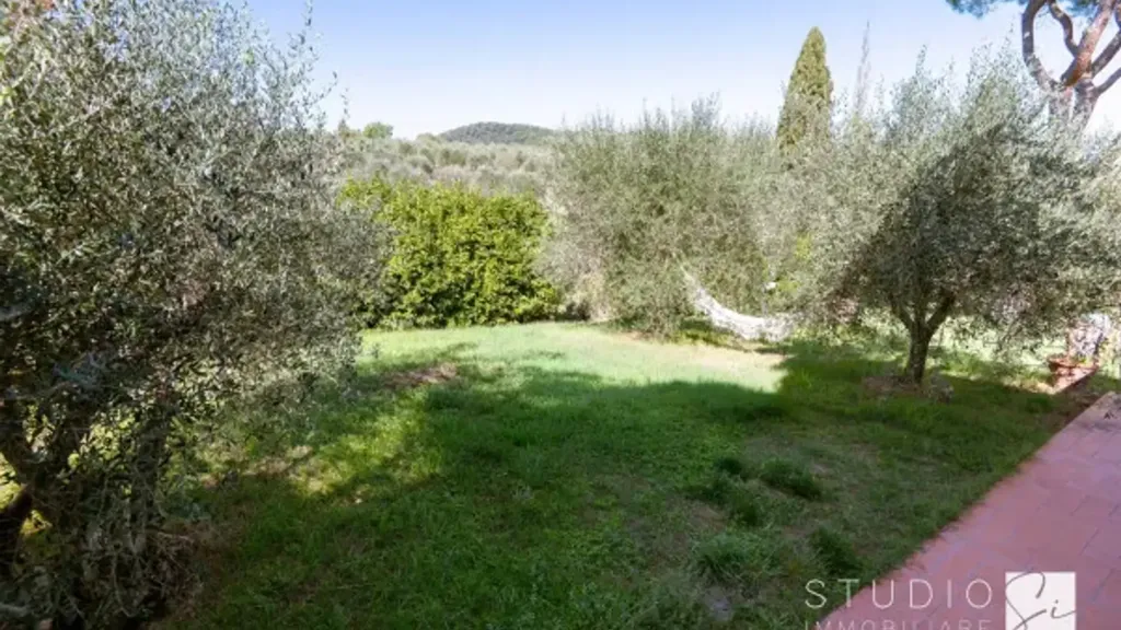 Aed - Rustic Villa with Olive Grove in Chianti