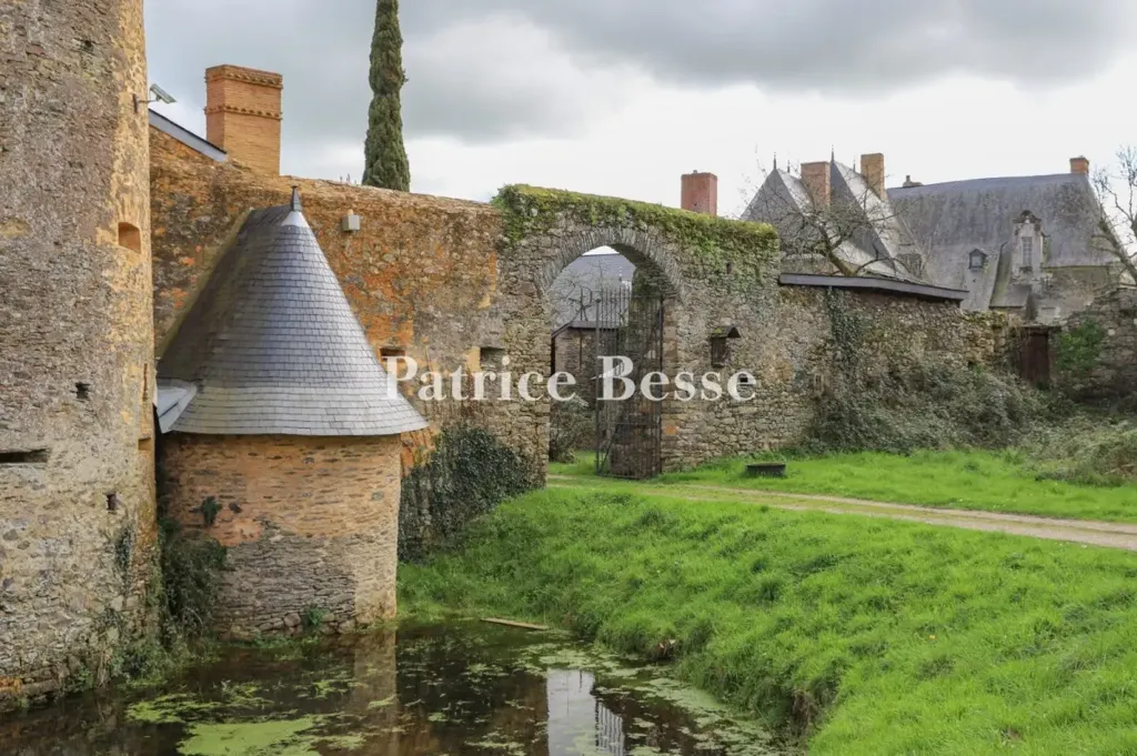 Aed - Historic Château with Chapel in Anjou