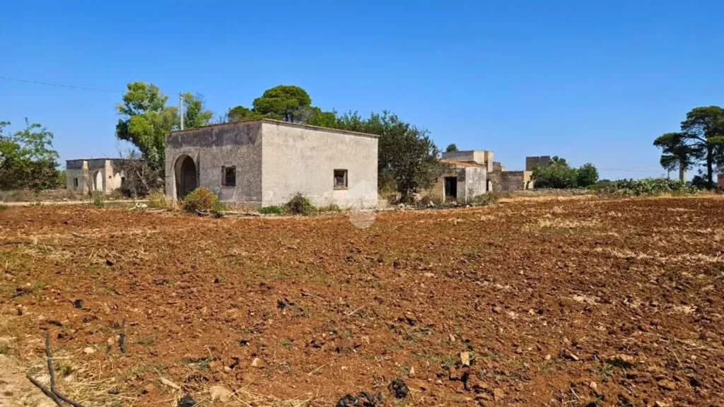 Jardin - Rustic Property with Olive Trees in Nardò