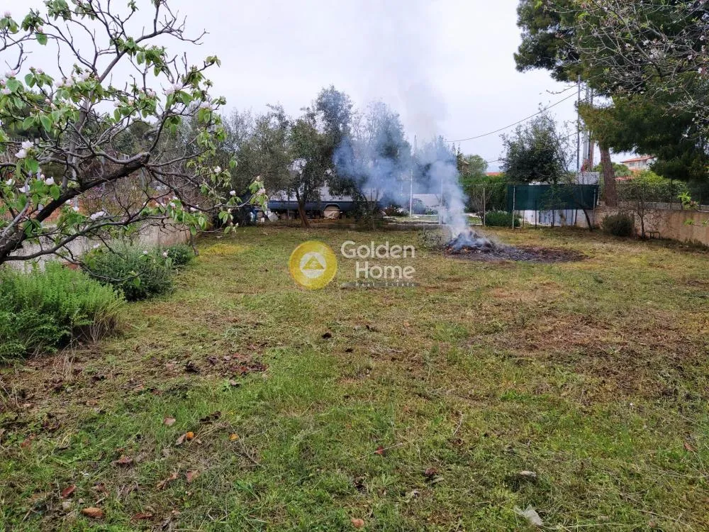 Jardin - Agricultural Plot with Sea View in Artemida