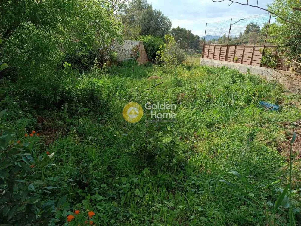 Aed - Plot with Forest View in Melissia