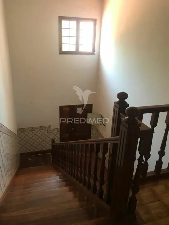 Toad - Luxury Villa with Walled Garden in Ponte do Lima