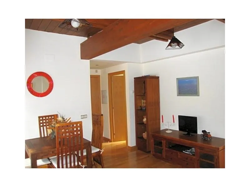 Séjour - New Flat with Balcony in Bielsa