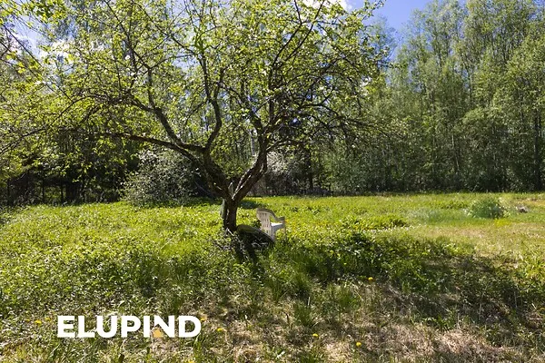 Aed - Land Plot with Garden in Lestima, Märjamaa