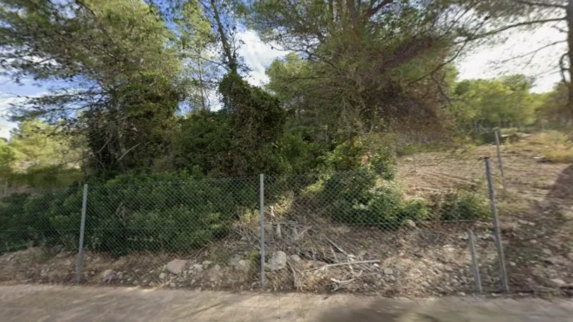 Jardin - Land Plot in Sant Pere De Ribes, Barcelona