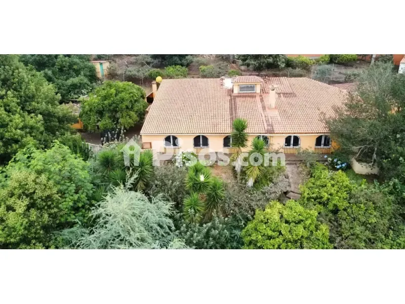 Õhuvaade - Rustic Finca with Orchard in Valleseco