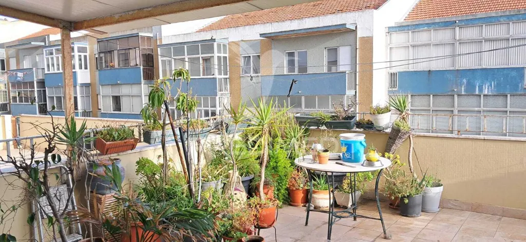 Terrass - T3 Apartment with Large Terraces in Laranjeiro