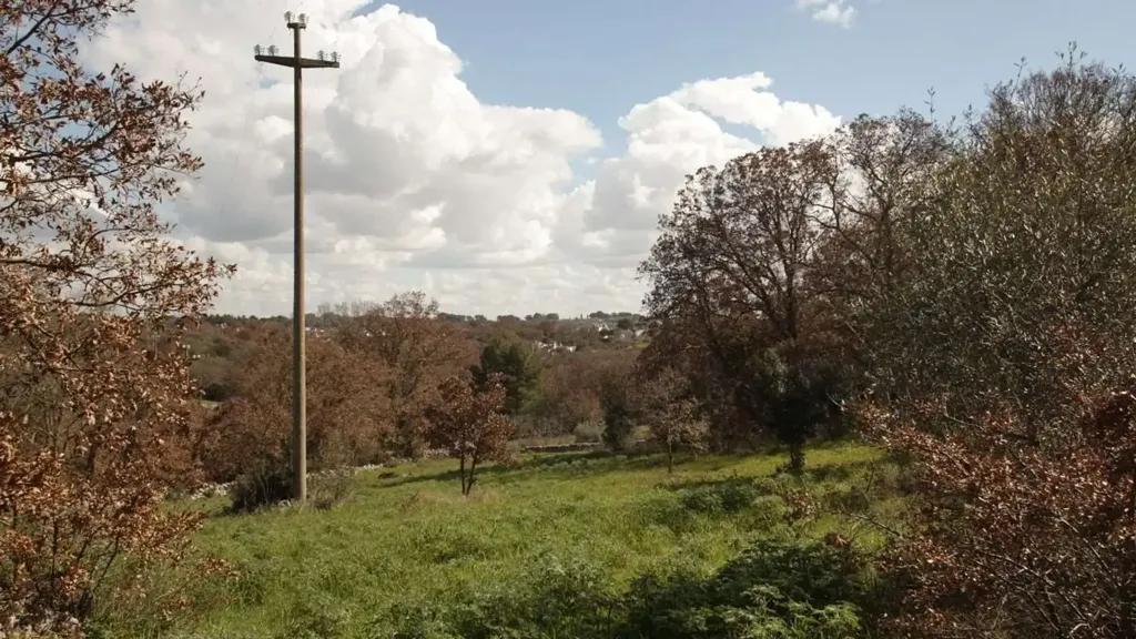 Rustic Trullo with View in Ostuni