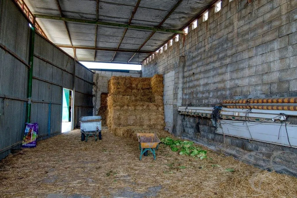 Pesuköök - Equestrian Centre with Coastal Proximity in Torre del Mar