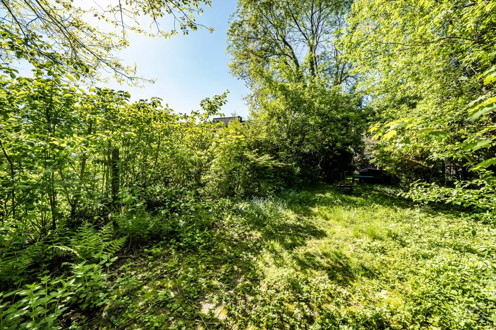 garden