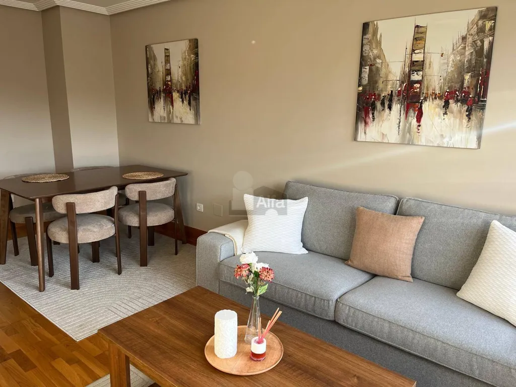 Séjour - Furnished Flat with Garden near Gran Vía, Vigo