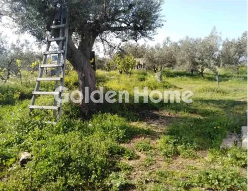 Giardino - Unique Estate with Panoramic View in Kainoi, Euboea