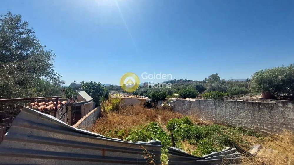 Aed - Warehouse with Storage in Koropi - Karelles