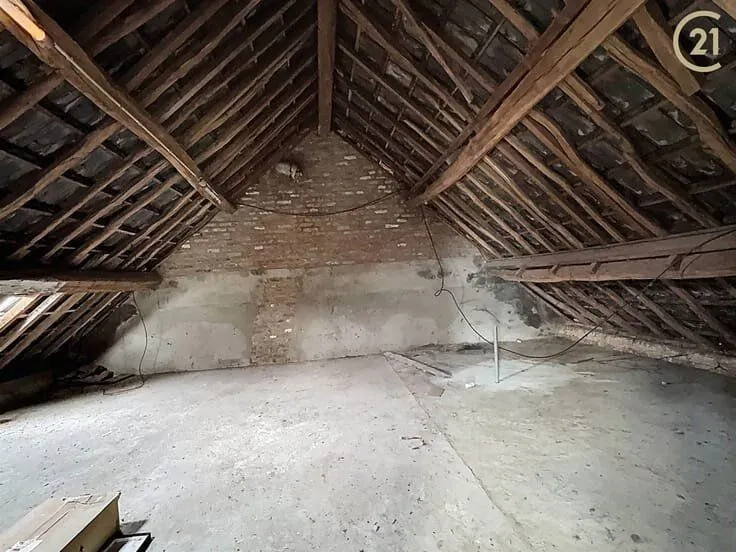 Toad - Renovatable House with Garden in Dave