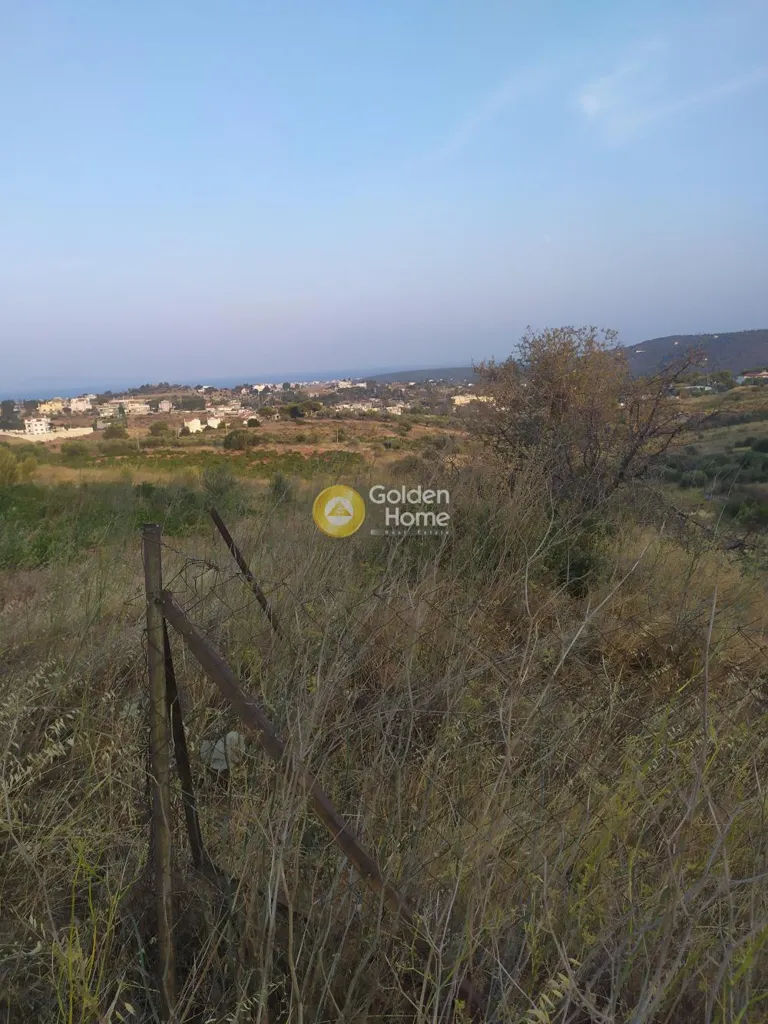 Giardino - Agricultural Plot with Sea View in Rafina Centre