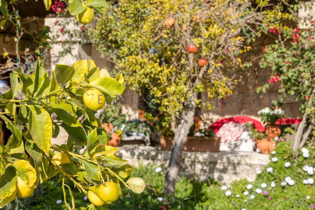 Jardin - Historic Finca with Pool in S'Arracó, Mallorca