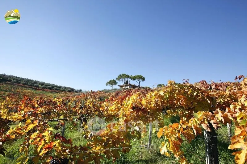 Jardin - Panoramic Villa with Private Park in Notaresco
