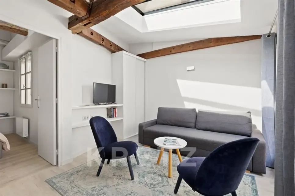 Elutuba - Top Floor Flat with Terrace in Saint-Germain-des-Prés