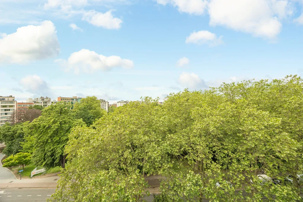 Garden - Renovated Apartment with Park View in Antwerp