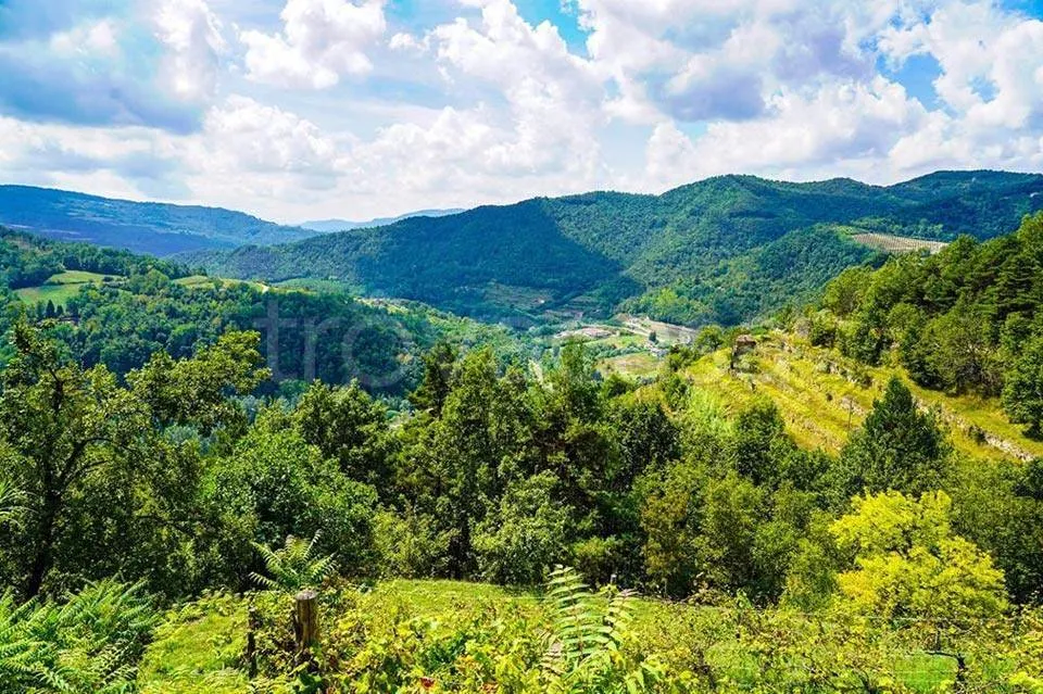 Restored Rustic Homes with Garden in Cortemilia