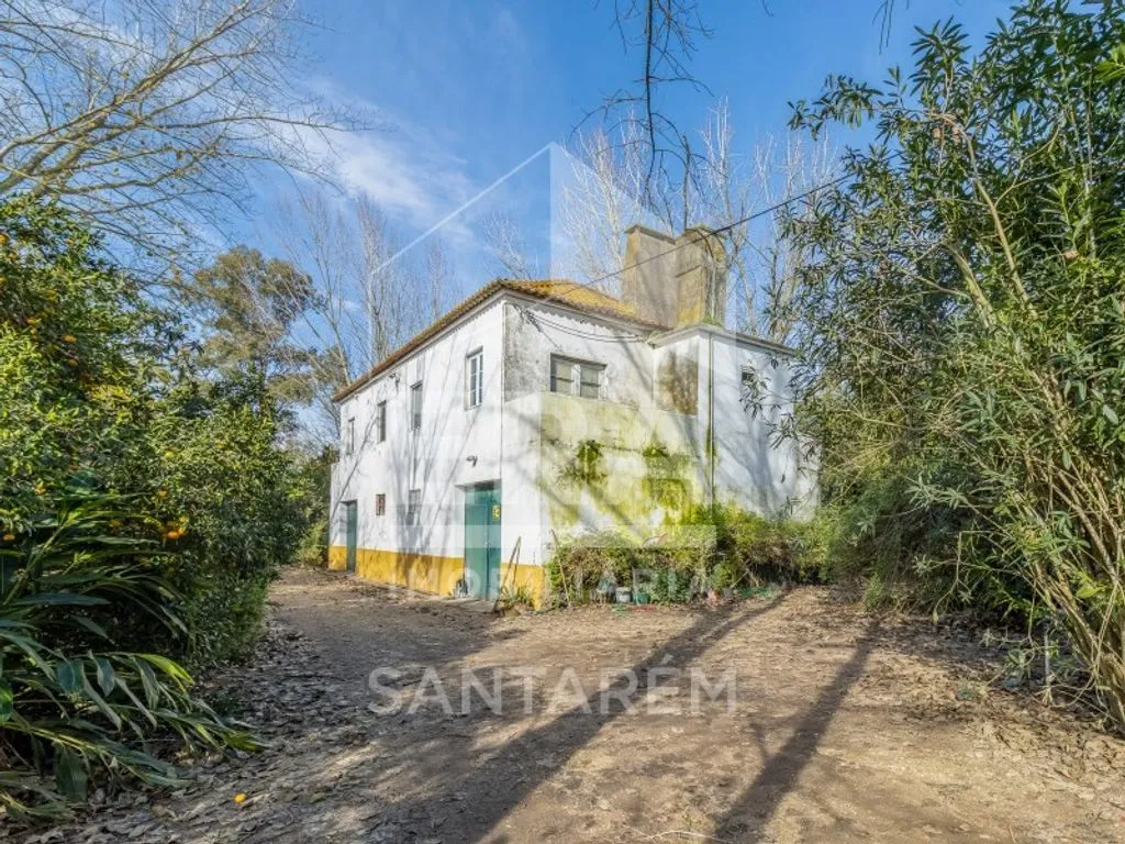 Extérieur - Luxury House with Agricultural Land in Benfica do Ribatejo