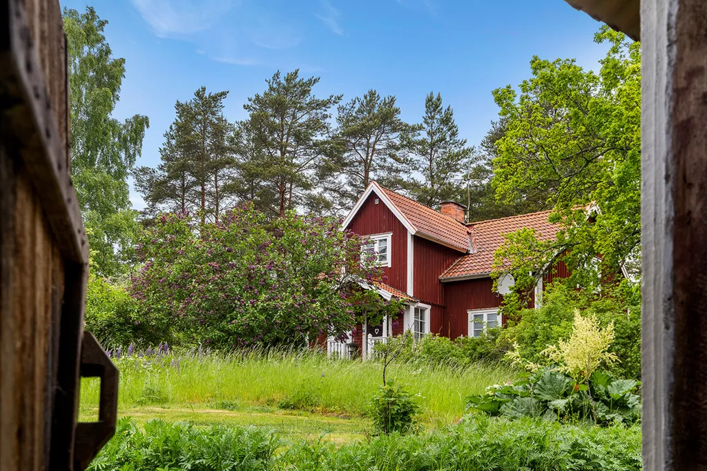 Garden - Complete Horse Farm with Residence in Rural Area