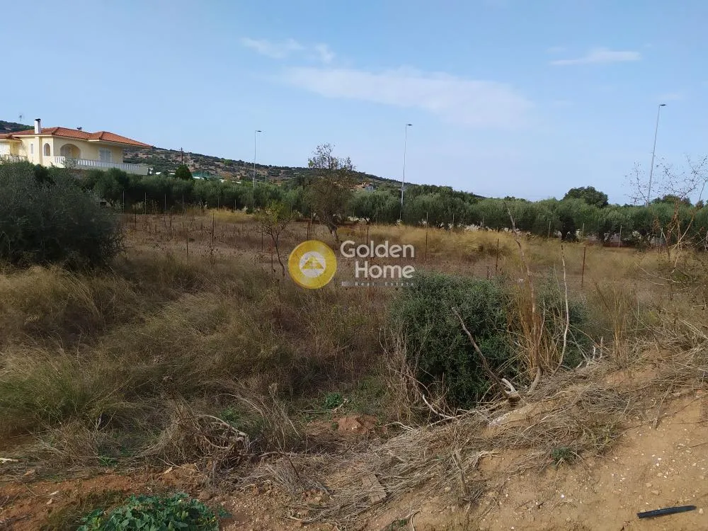 Aed - Plot with Unrestricted View in Kalivia Centre