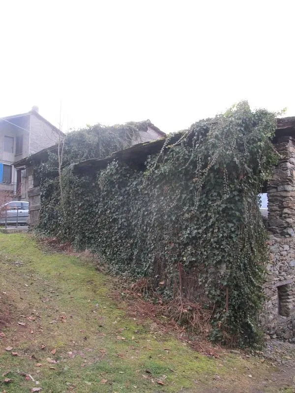 Extérieur - Rustique à vendre à Chiuro, Valposchiavo