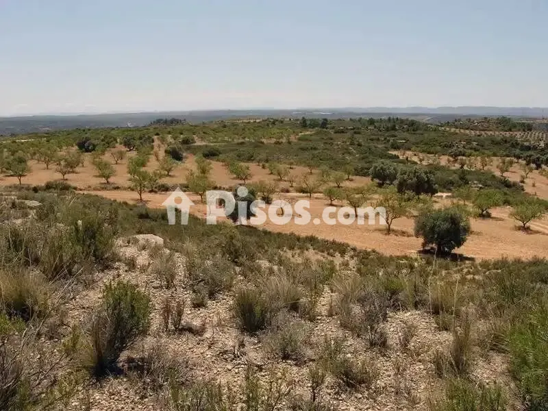 Aed - Rustic Hunting Estate in Alcañiz